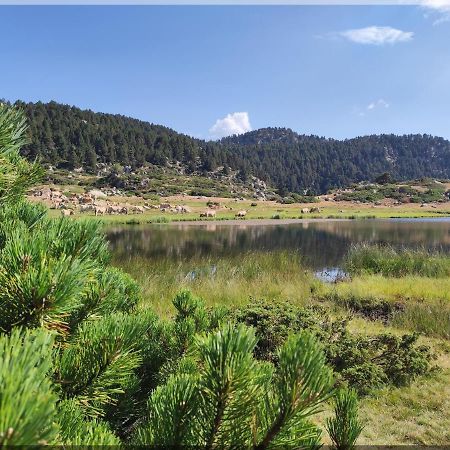 Residence Orazur - Appartement De Charme - 2 Chambres - Poele A Bois - 2 Balcons - Jardin - Parking - Internet - Linge Et Menage En Options Payantes Font-Romeu-Odeillo-Via Ngoại thất bức ảnh